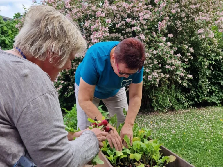 Zwei Frauen am Hochbeet: Eine pflückt Radieschen, die andere pflegt das Beet, umgeben von Sträuchern.